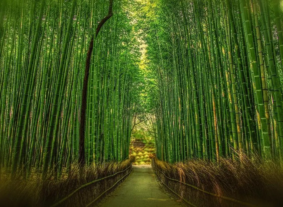 Kyonofutaba Aparthotel Kyoto